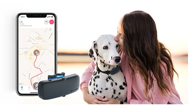 Tractive GPS Dog 4 Tracker im Test: Das kann der GPS-Tracker für